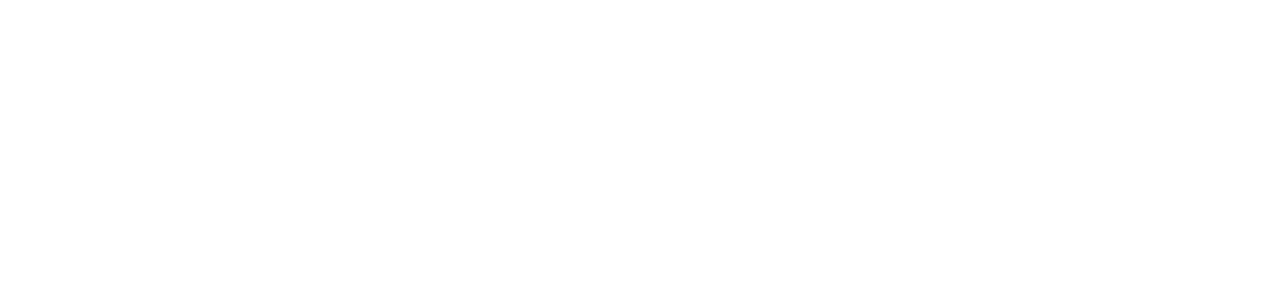 Unitree Robotics - Socio